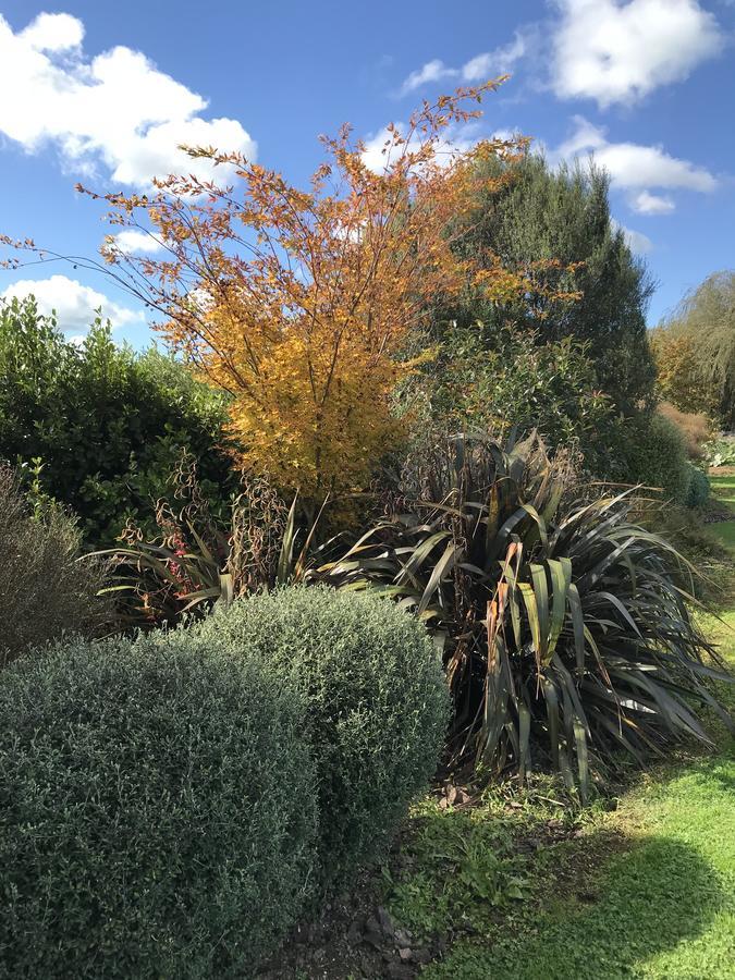 40 Winks 5* Otorohanga